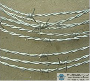 Double Twisted barbed wire