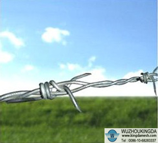 Stainless steel barbed wire