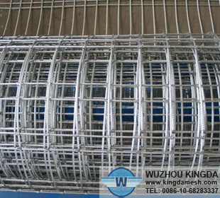 Hot-dipped galvanized welded wire netting