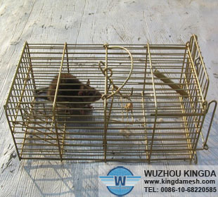 Steel rat trap