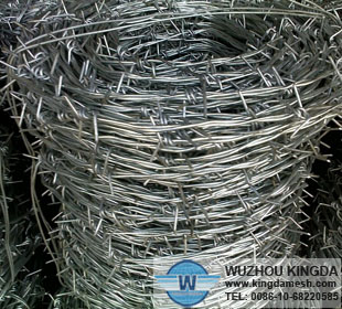 Stainless barbwire