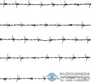 Barb wire fencing